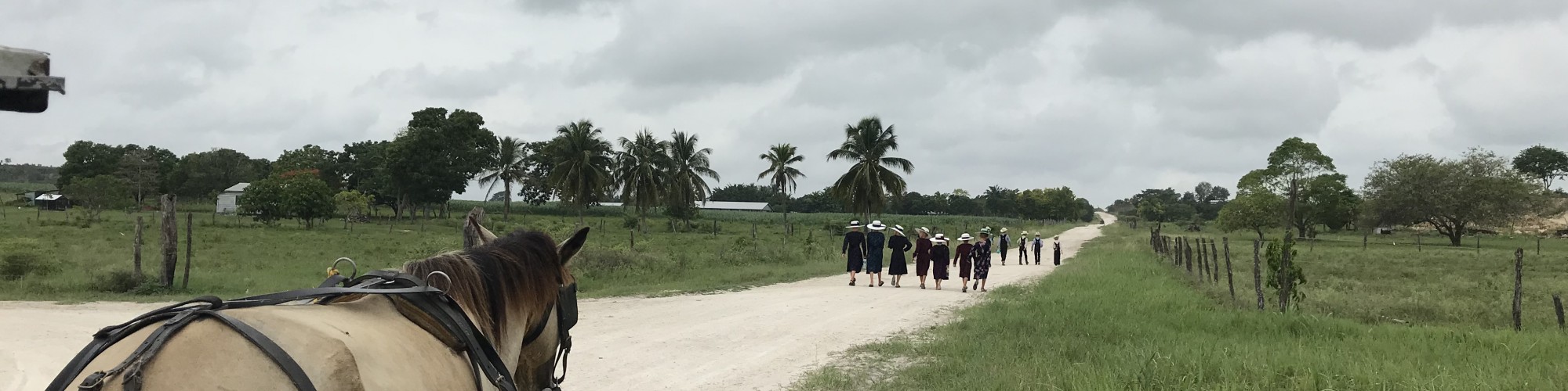 Menonites, Belize