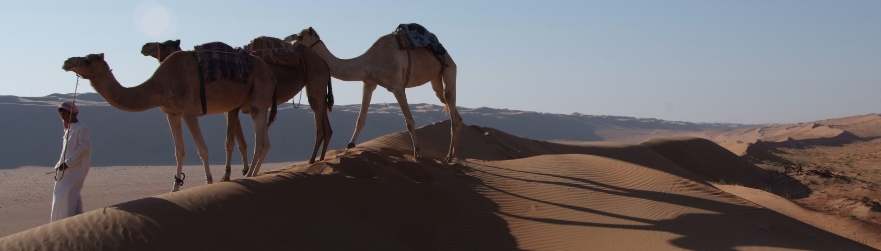 Desert Nights Camp - Al Wasil, Oman_Camel Safari