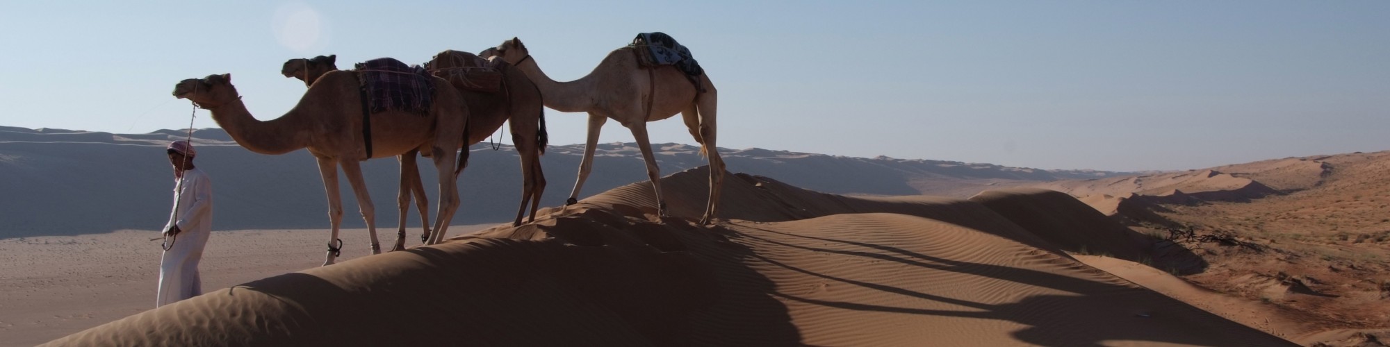 Desert Nights Camp - Al Wasil, Oman_Camel Safari