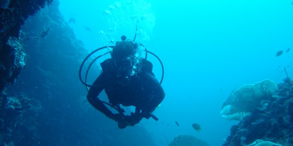 Kenya - Kenya coast - Diving, Snorkelling