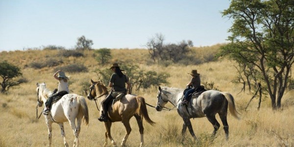 South Africa - The Kalahari - Horse Safari