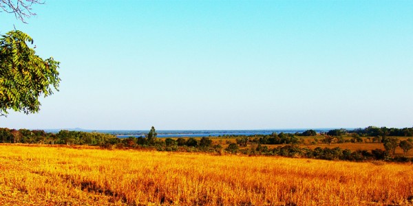 Zambia - Shiwa Ngandu - Fields