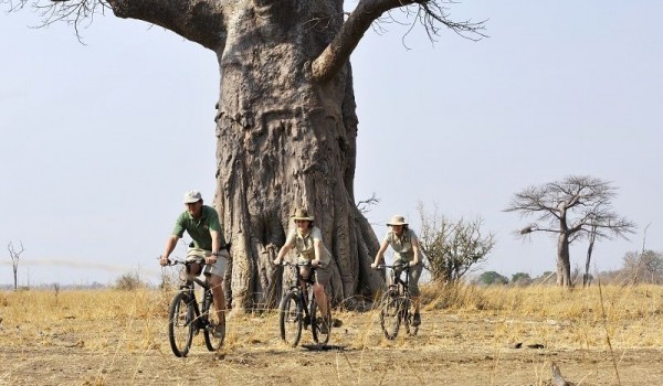 Remote Africa Safaris - biking safari