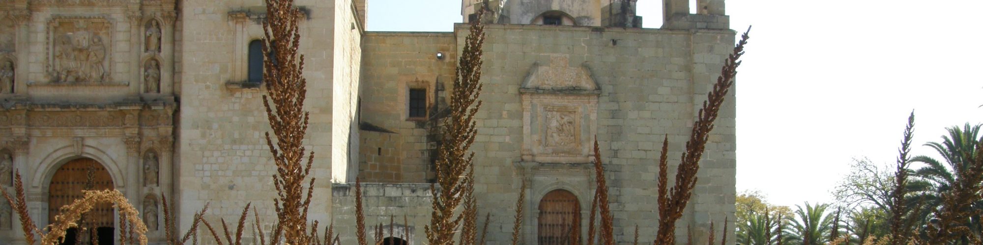 Church with agave oaxaca