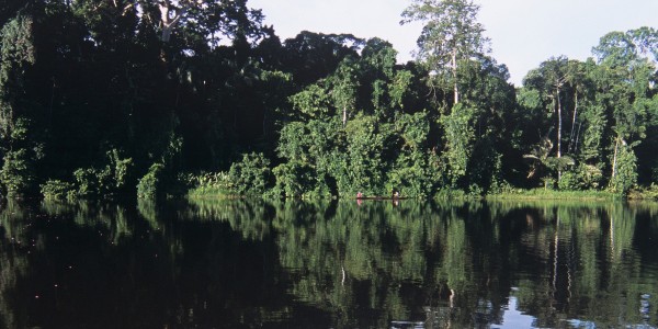 Lake Sandoval, Amazon
