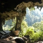 Mulu & Niah Caves