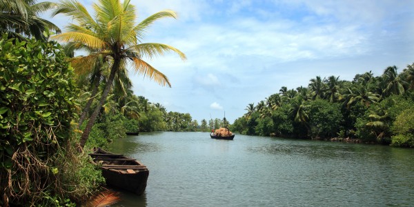 Backwater scenery from Kerala, India.