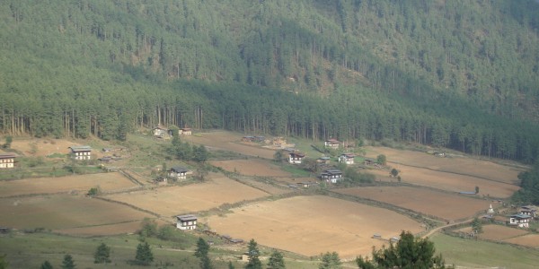 Gangtey valley