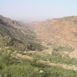 Dana Nature Reserve