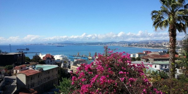 Chile - Santiago -Vina del Mar & Valparaiso - Hotel Zero - View