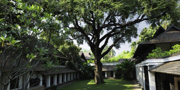 Peaceful Tamarind Courtyard(1)