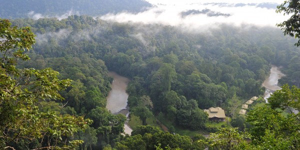 Credit: Borneo Rainforest lodge