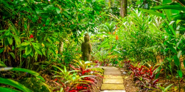 Costa Rica - Manuel Antonio National Park - Oxygen Jungle Villas - Path