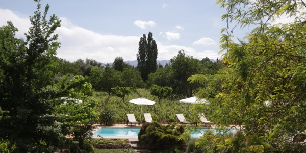 AR - Mendoza - Finca Adalgisa - Pool and vineyard