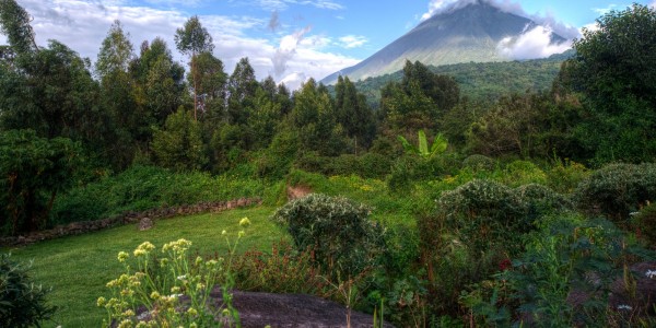 Gahinga_volcanoes view (2)
