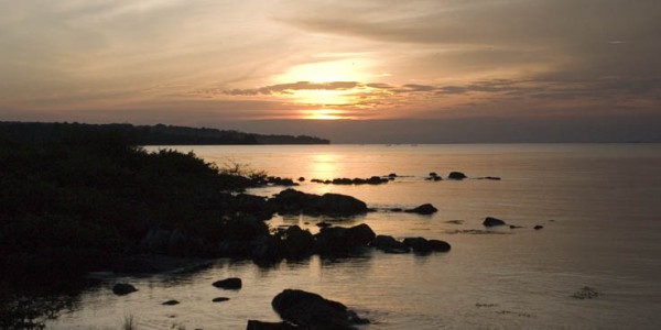 Lake Victoria from Ngamba Island - Wild Forntiers