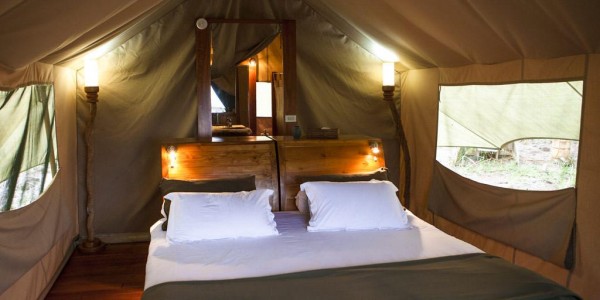 Ecuador - Galapagos Islands - Galapagos Safari Camp - Tent bed
