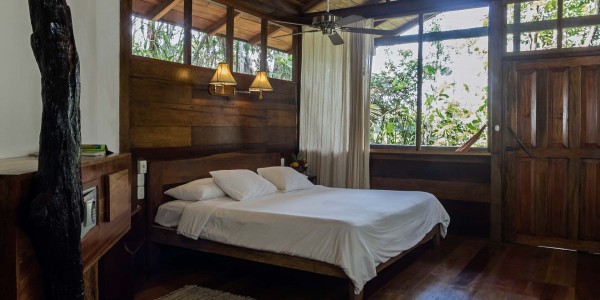Ecuador - The Amazon Rainforest -Sacha Lodge - Room2