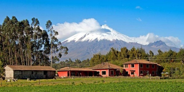 Ecuador - The Avenue of Volcanoes - Hacienda Hato Verde - Overview