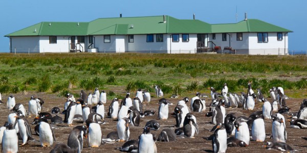 Falkland Islands - Sea Lion Island - Sea Lion Lodge - Overview