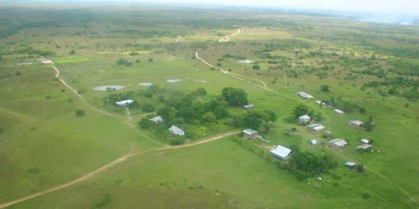 Guyana - Dadanawa - Dadanawa Ranch - Top