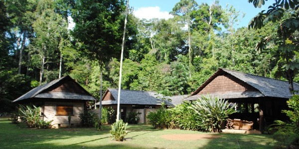 Guyana - Iwokrama Forest Reserve - Atta Rainforest Lodge - Lodge