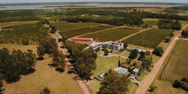 Uruguay - Carmelo - Narbona Wine Lodge - Overview