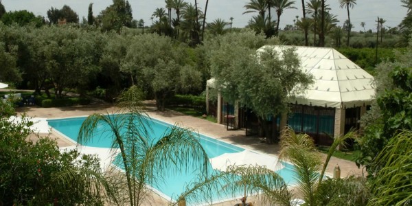 Morocco - Marrakech - La Maison Arabe - Pool