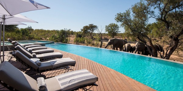 South Africa - Kruger National Park & Private Game Reserves - andBeyond Ngala Safari Lodge - Pool