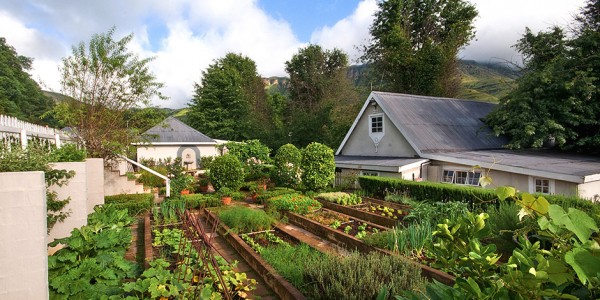 South Africa - Kwazulu Natal - Cleopatra Mountain Farmhouse - Food Garden