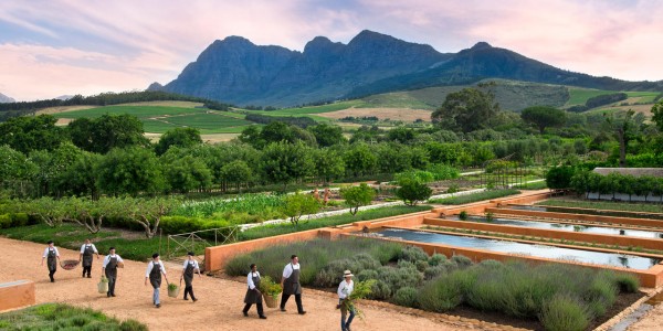 South Africa - Winelands - Babylonstoren - Garden