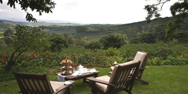 Tanzania - Ngorongoro Crater - Gibbs Farm - Coffee