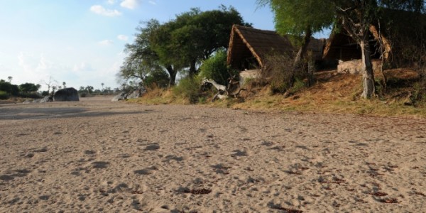 Tanzania - Ruaha National Park - Mwagusi Safari Camp - Dry River Bed