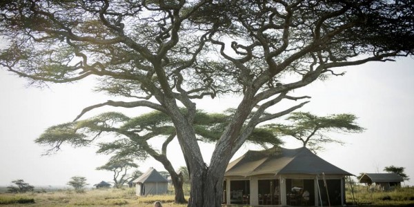 Tanzania - Serengeti National Park - Namiri Plains Camp - Outdoor