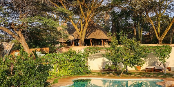 Africa - Kenya - Laikipia - Lewa House - Pool