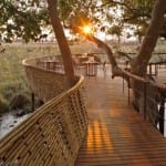 andBeyond Sandibe Okavango Safari Lodge