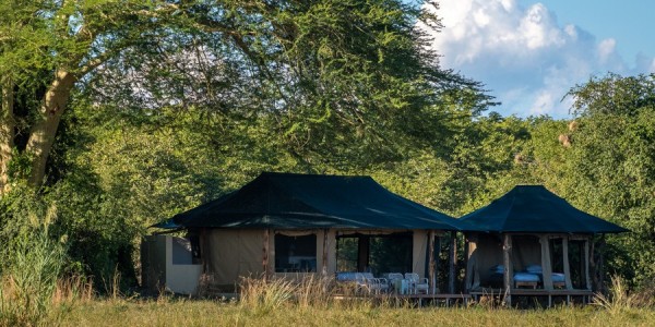 Malawi - Liwonde National Park - Kuthengo Camp - Tent