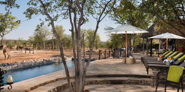 Namibia - Etosha National Park - Ongava Tented Camp - Pool