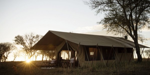 Tanzania - Serengeti National Park - Nomad Serengeti Safari Camp - Tent