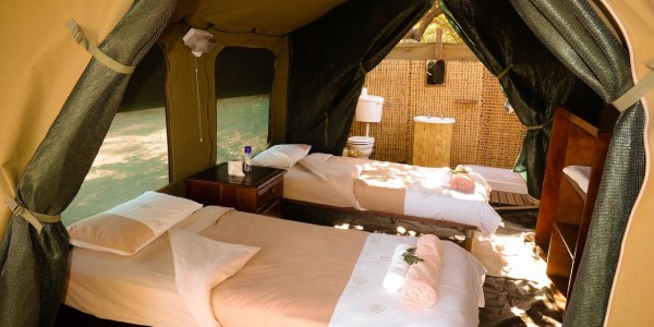 Zimbabwe - Gonarezhou National Park - Chilo Gorge Safari Lodge - Tent