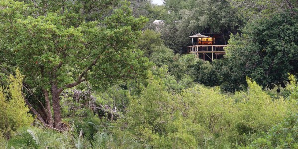 South Africa - Kruger National Park & Private Game Reserves - Londolozi Tree Camp - Exterior