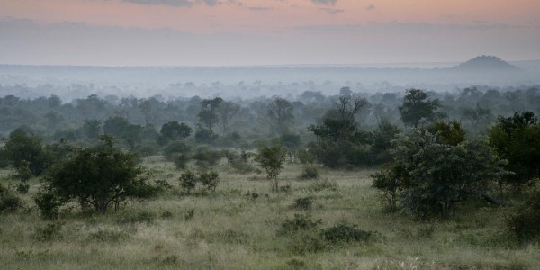 South Africa - Kruger National Park & Private Game Reserves - Londolozi Varty Camp - Landscape