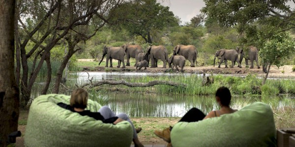 South Africa - Kruger National Park & Private Game Reserves - Tanda Tula Safari Camp - Pool Deck