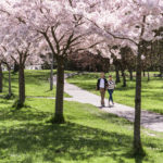 Christchurch & Canterbury